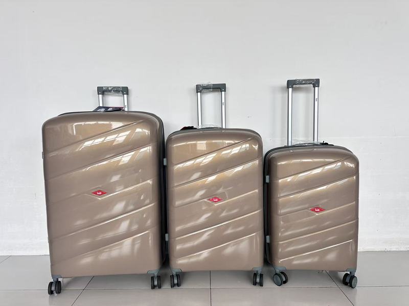 Case